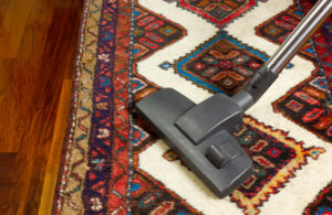 vacuuming patterened red white brown gold persian oriental rug to remove salt dirt and debris