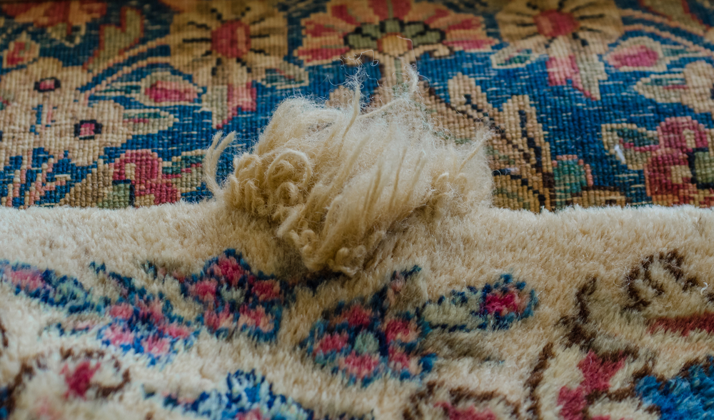frayed fibers and tuft on surface of Persian rug having damage from rug sprouting that can be prevented or repaired