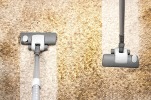 vacuuming and cleaning pollen from rug to prevent damage or discoloration from happening in delicate fibers